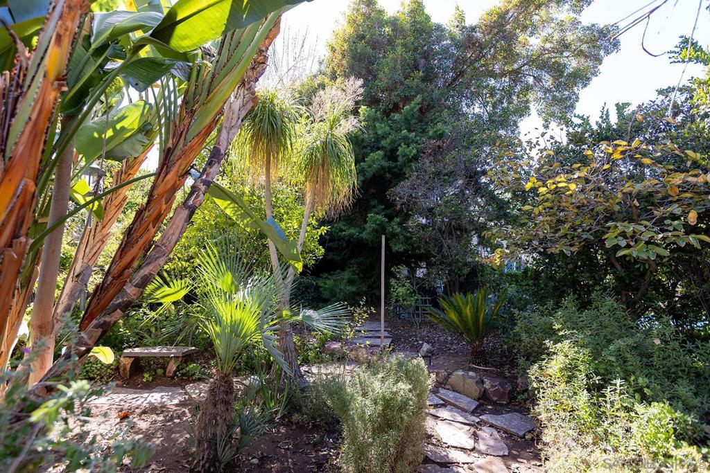 10810 Fuerte Dr. Property Photo 41