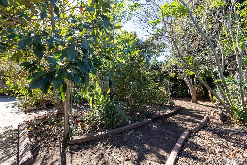 10810 Fuerte Dr. Property Photo 42