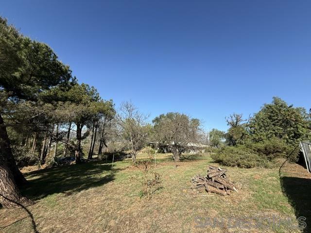 1113 E 5th Ave Property Photo 6
