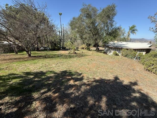 1113 E 5th Ave Property Photo 7