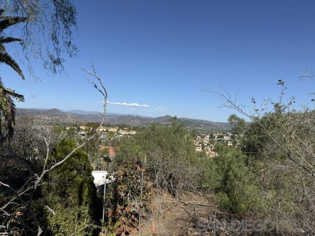 1113 E 5th Ave Property Photo 10
