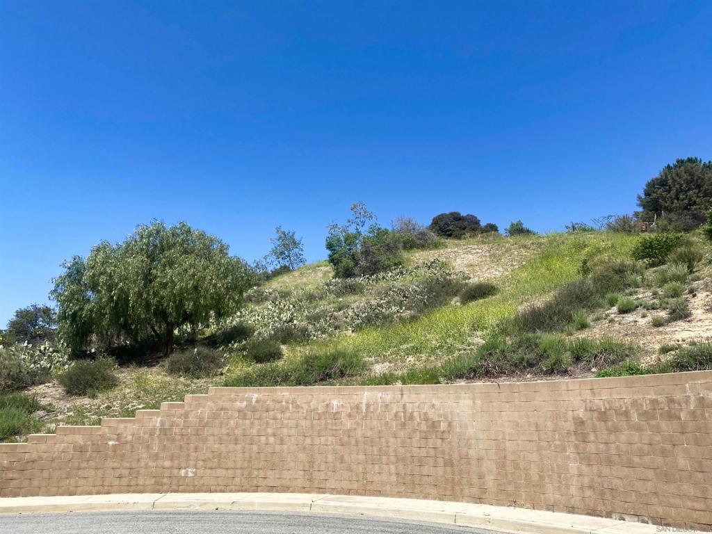 15 Yucca Ct Property Photo 3