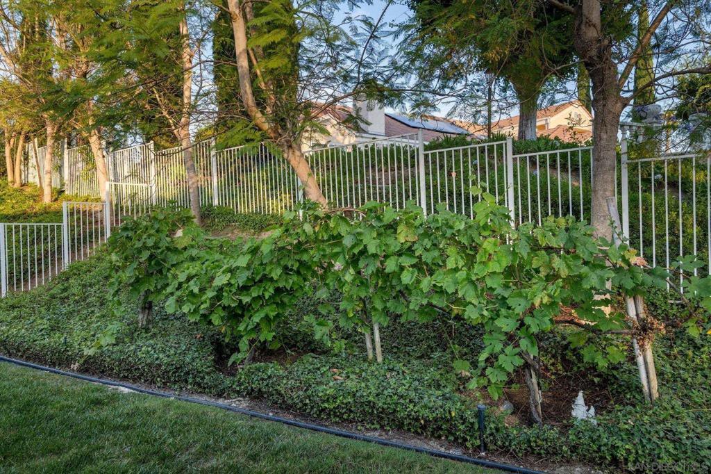 16238 Country Day Property Photo 61