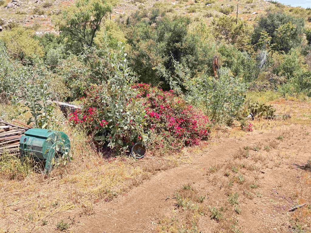222444 Hwy 94 Property Photo 5