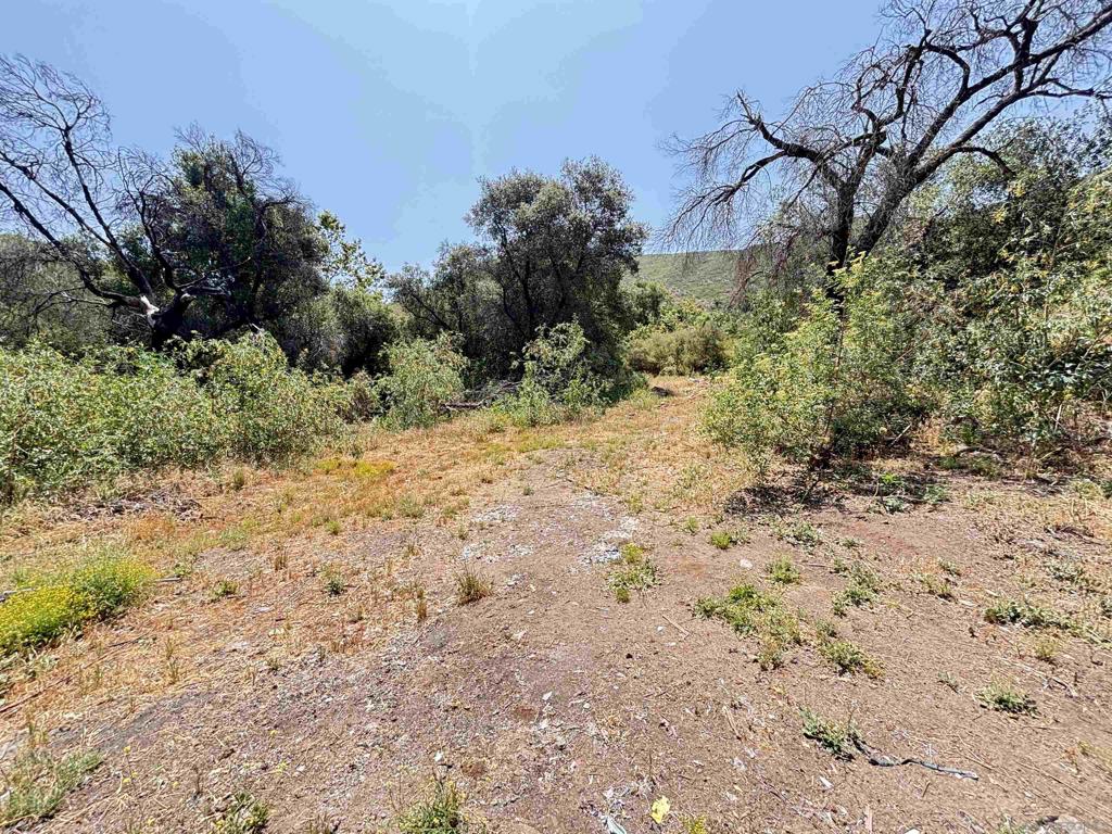 222444 Hwy 94 Property Photo 10