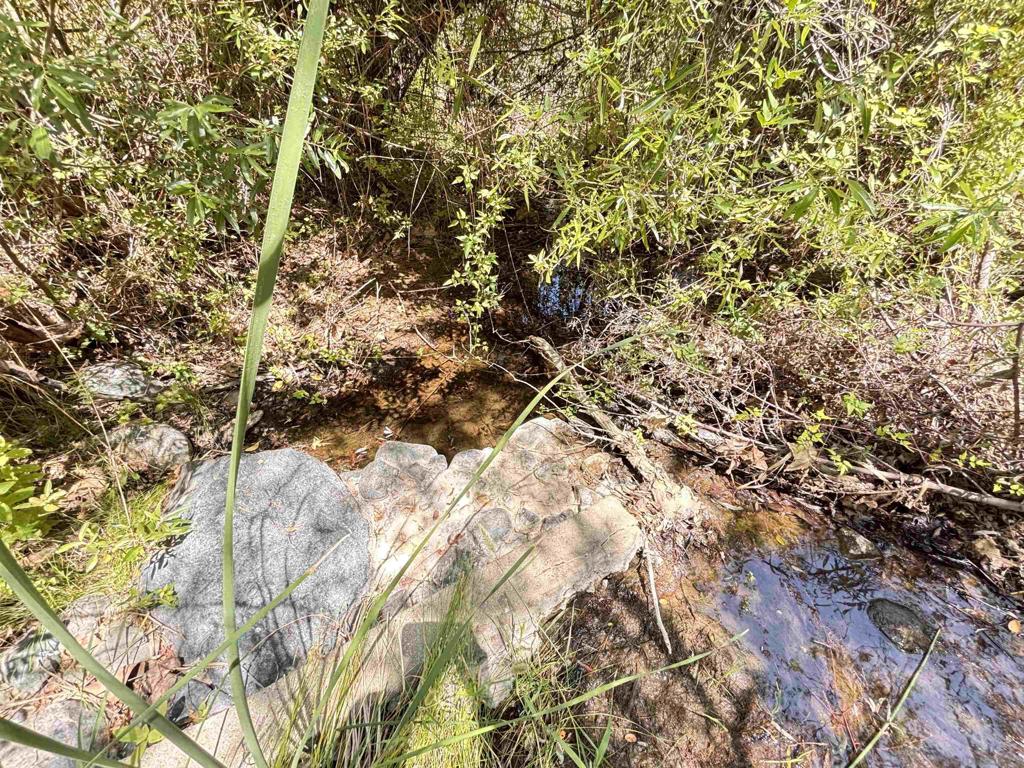222444 Hwy 94 Property Photo 12