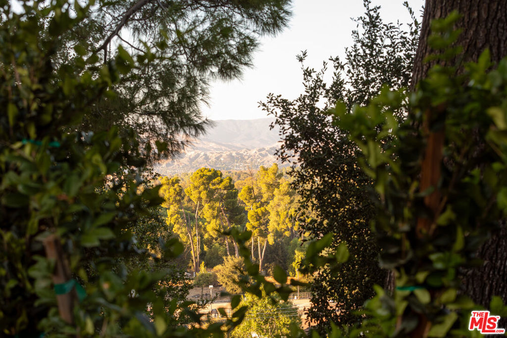 16402 Placerita Canyon Road Property Photo 29
