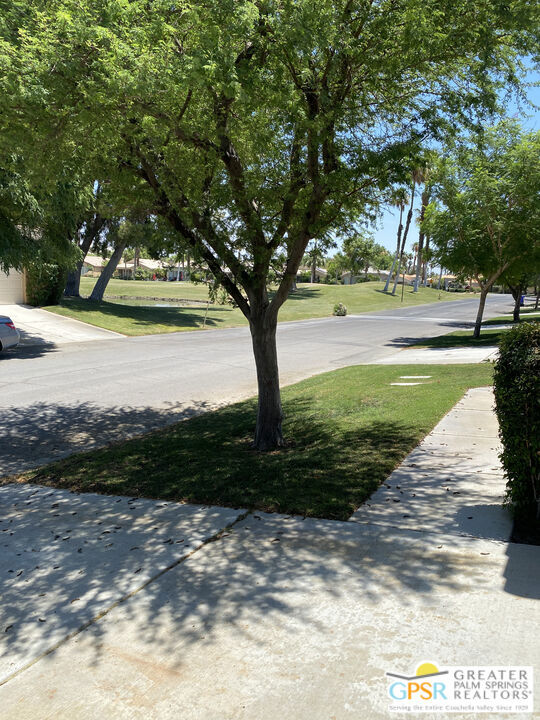 26102865PS Property Photo 44