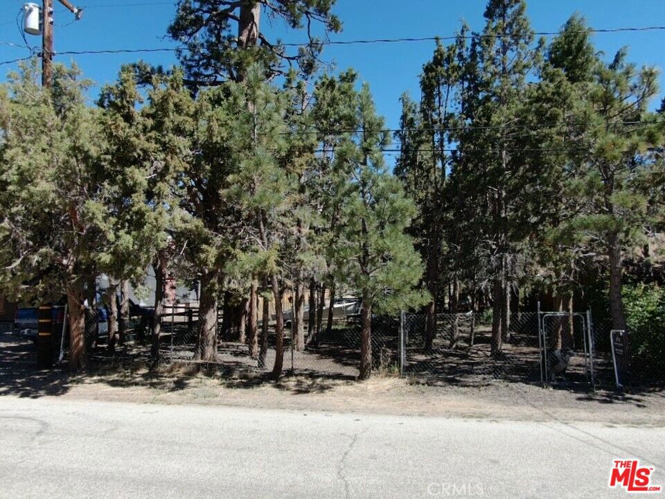 0 E Mountain View Boulevard Property Photo 1