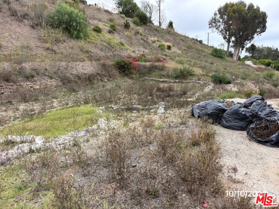 949 Las Lomas Avenue Property Photo 22