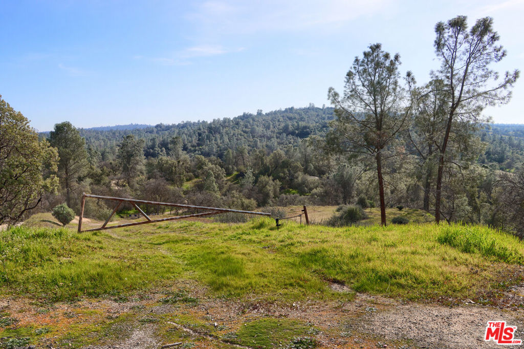 1758 Long Hollow Lane Property Photo 4