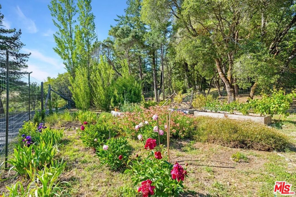 20799 Highway 128 Property Photo 40
