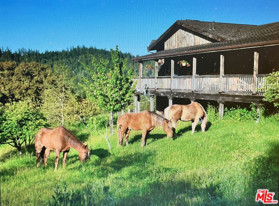 20799 Highway 128 Property Photo 65