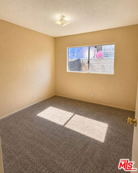 327 E 101st Street Property Photo 7