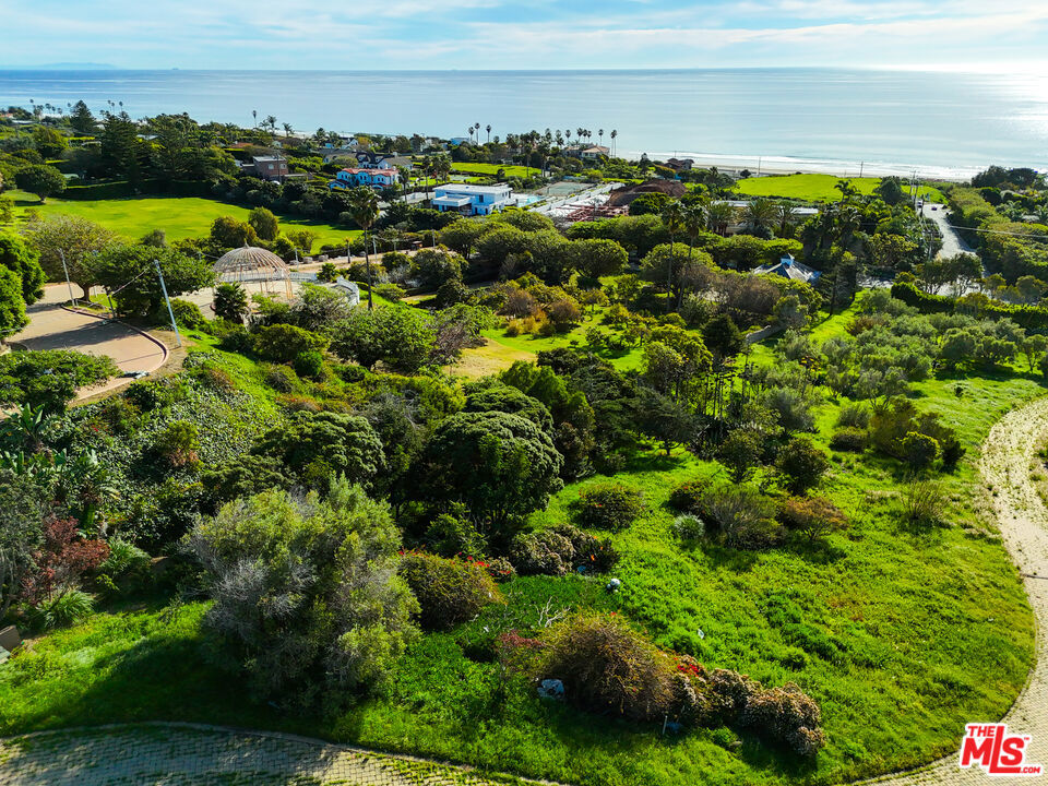 30601 Morning View Drive Property Photo 6