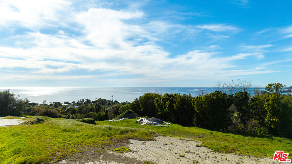 30601 Morning View Drive Property Photo 8
