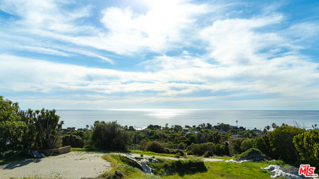 30601 Morning View Drive Property Photo 16