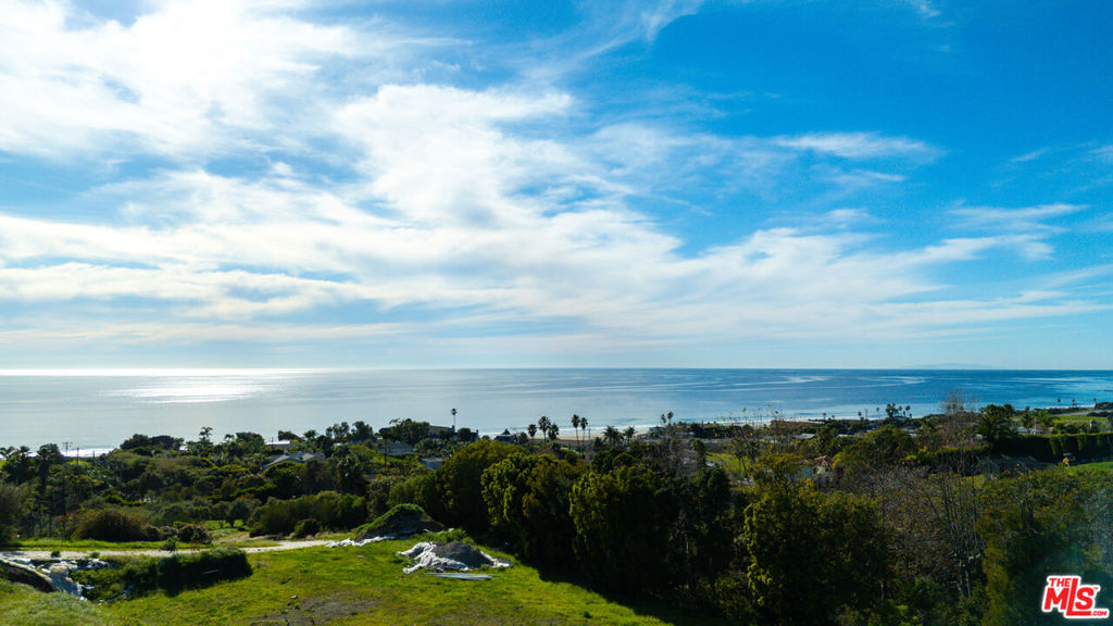 30601 Morning View Drive Property Photo 20