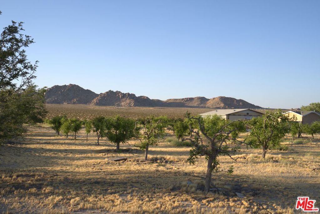 10424 Santa Fe Fire Road Property Photo 27