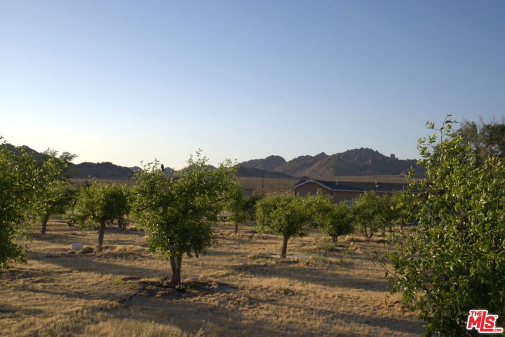 10424 Santa Fe Fire Road Property Photo 28