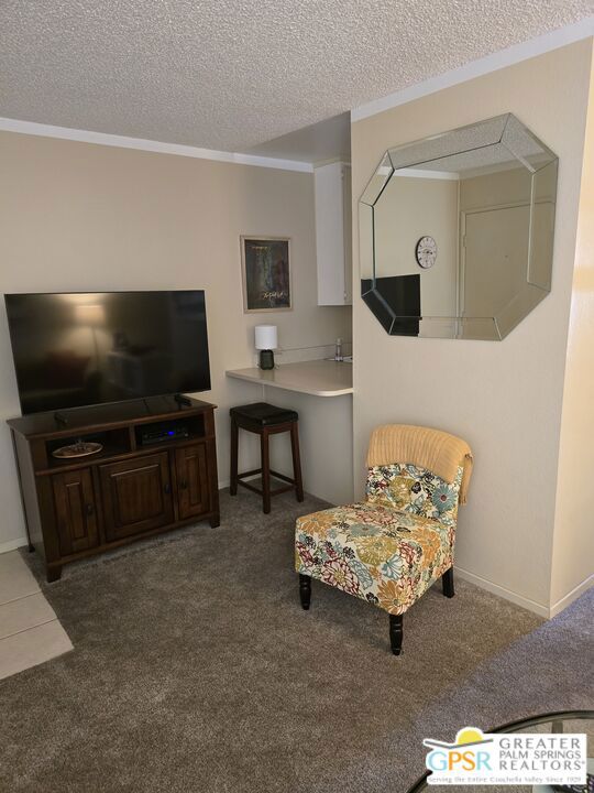 470 S Calle Encilia B2 Property Photo 10