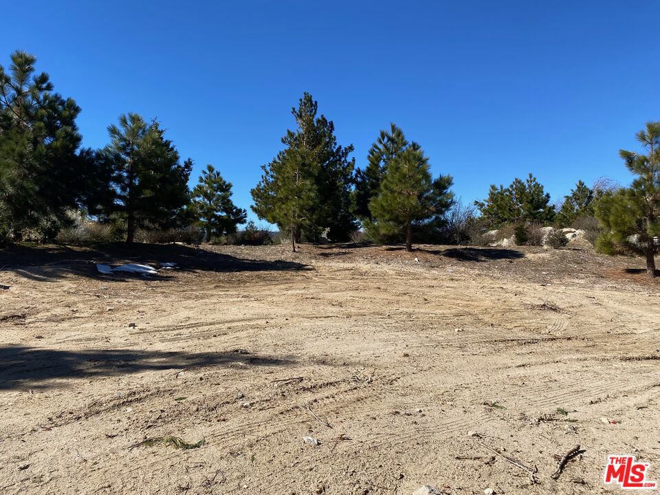 196 Mill Pond Road Property Photo 5