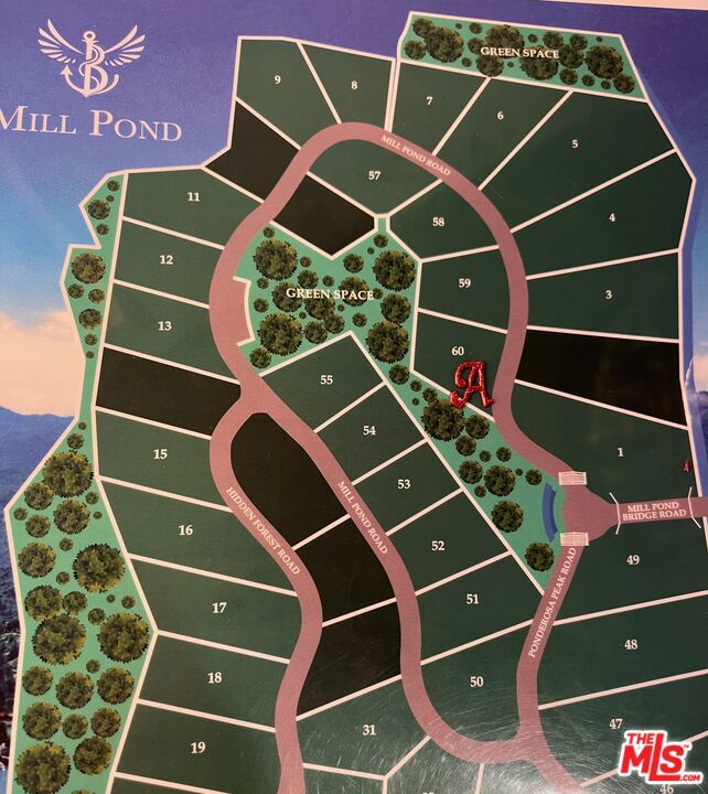 196 Mill Pond Road Property Photo 30
