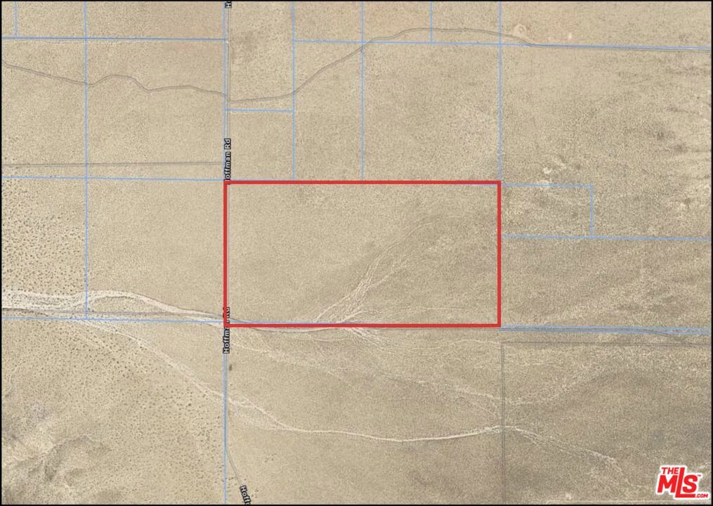 0 Hoffman Road Property Photo 3