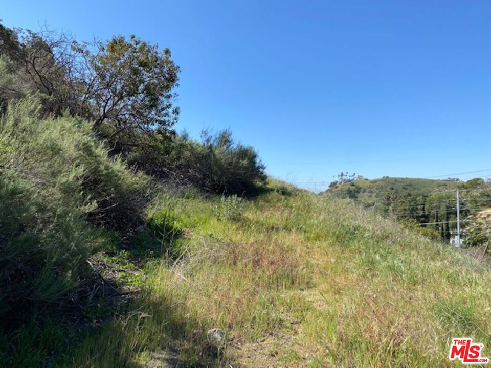 10100 Sunland Blvd Property Photo 10