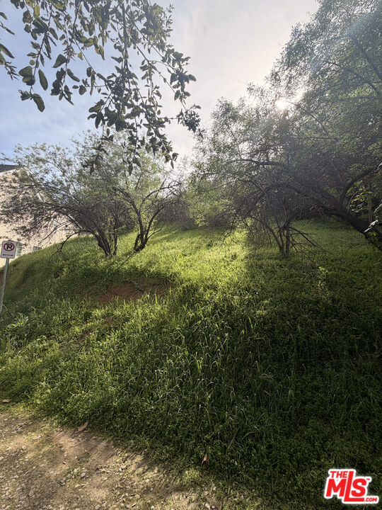 7128 High Cliff Trail Property Photo 6