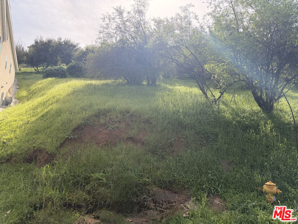 7128 High Cliff Trail Property Photo 7