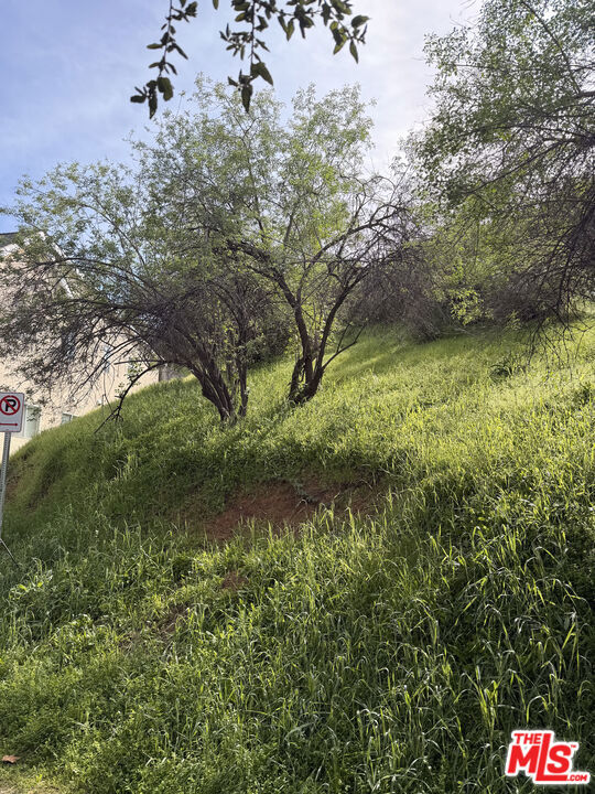 7128 High Cliff Trail Property Photo 8