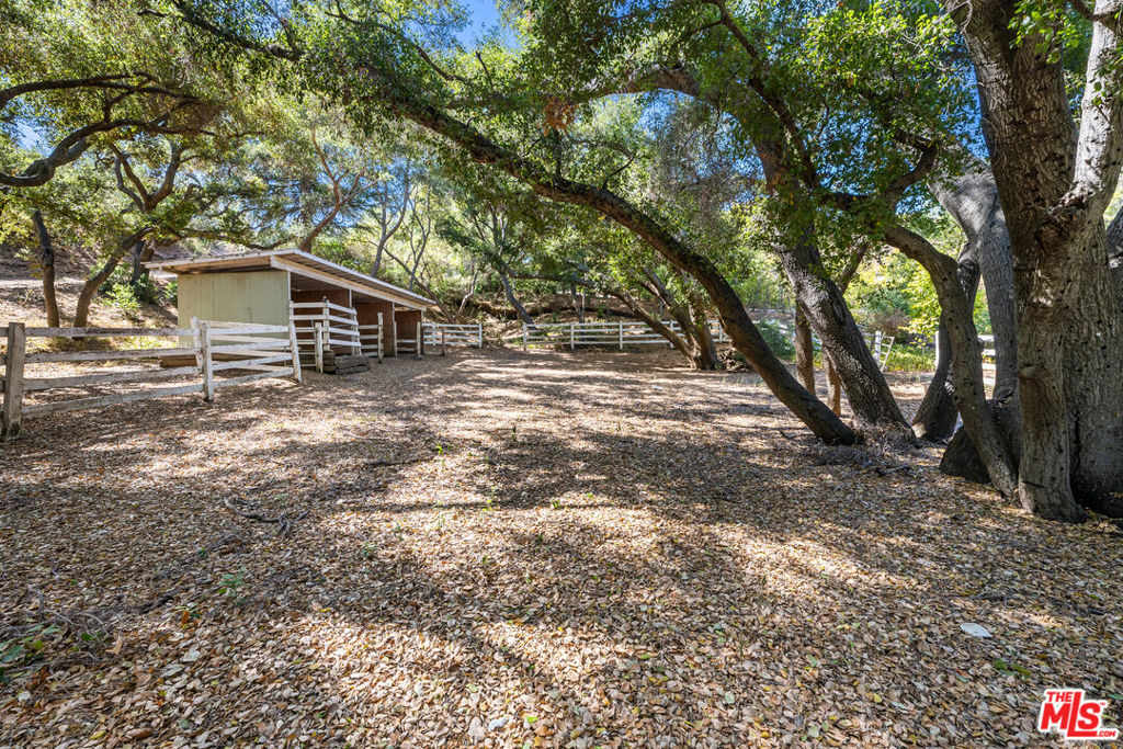 730 Crater Camp Drive Property Photo 19
