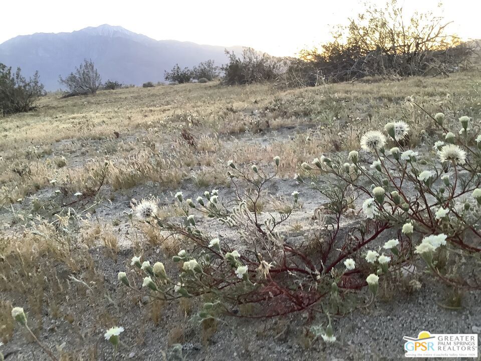 0 Canyon Drive Property Photo 35