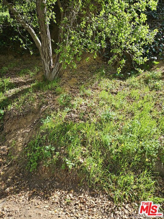 10468 Scenario Lane Property Photo 2