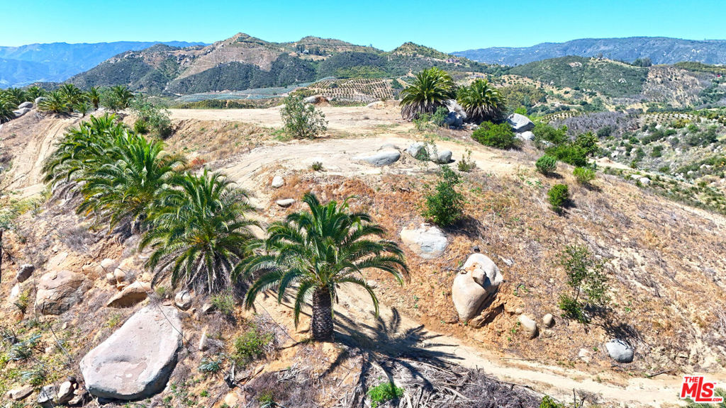 0 El Calamar Property Photo 4
