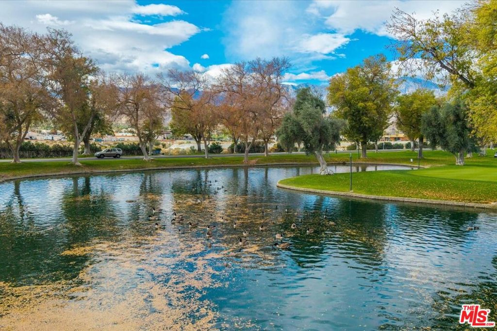 266 S Paseo Laredo Property Photo 69