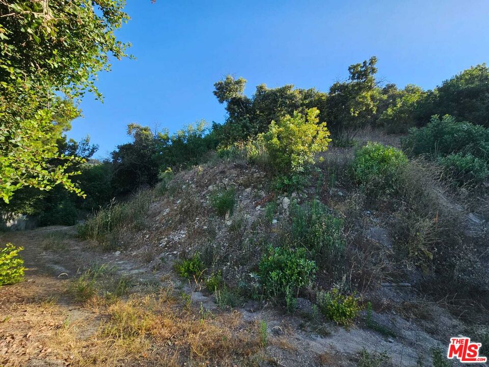 13388 Newcomb Drive Property Photo 2