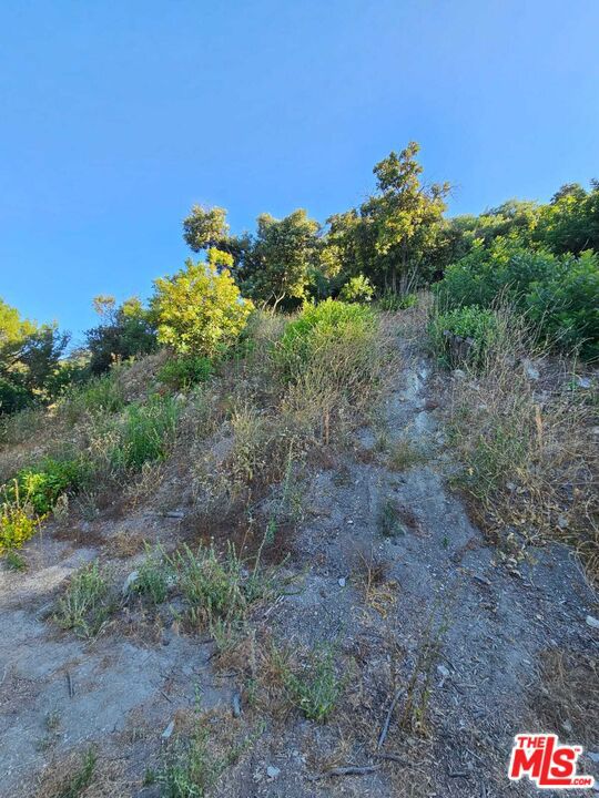 13388 Newcomb Drive Property Photo 3