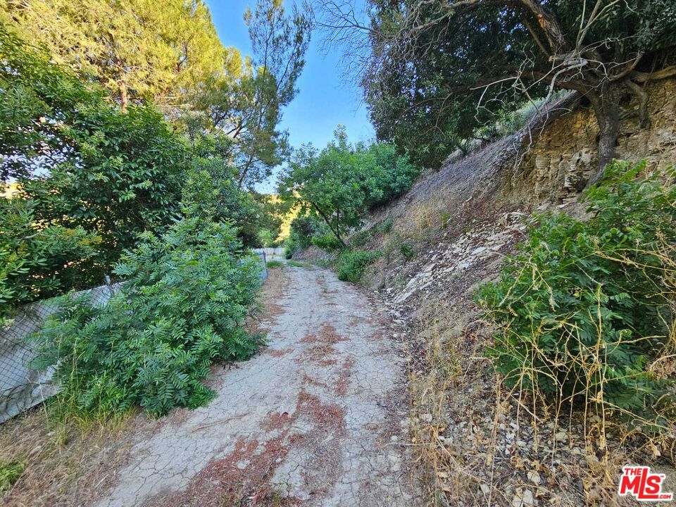13388 Newcomb Drive Property Photo 4