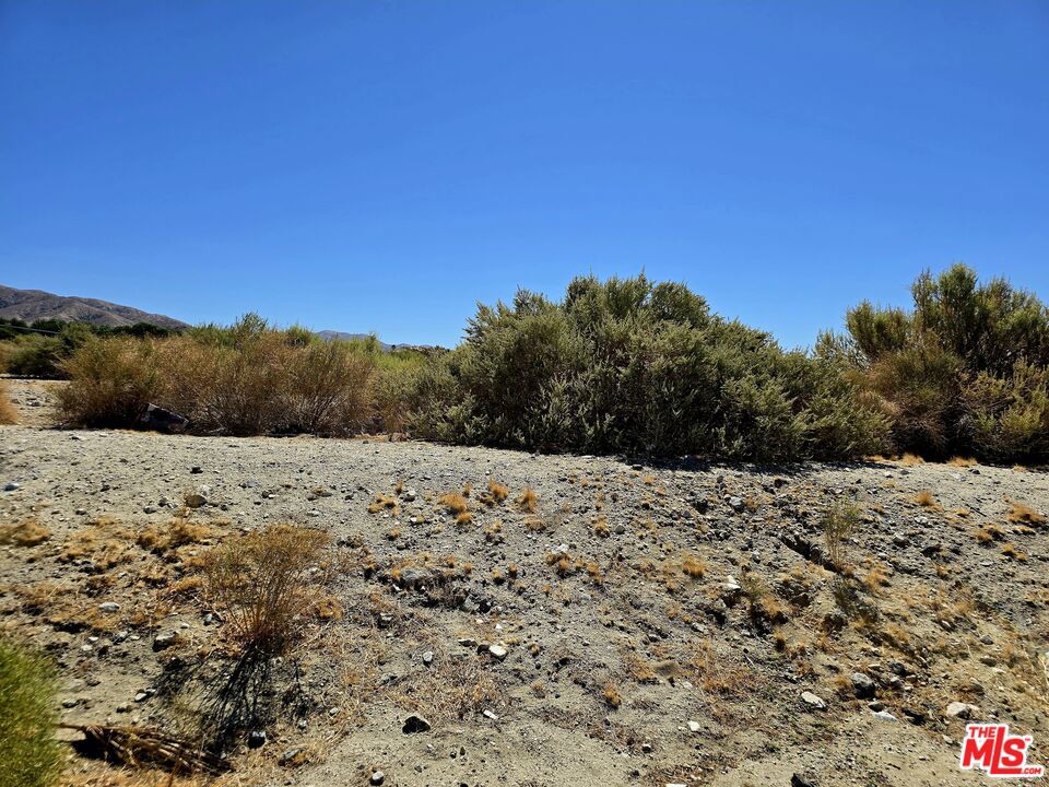 0 Verbena Property Photo 5
