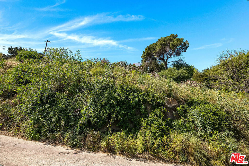 2231 Moore Street Property Photo 9