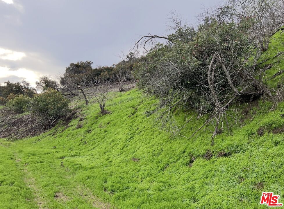 13406 Newcomb Property Photo 3