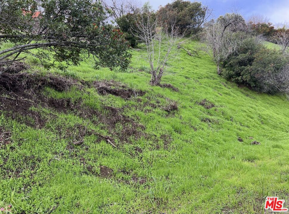 13406 Newcomb Property Photo 4