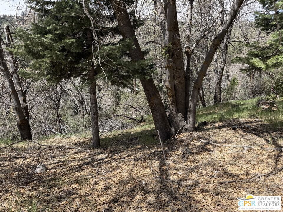 6032 Tripp Lane Property Photo 3