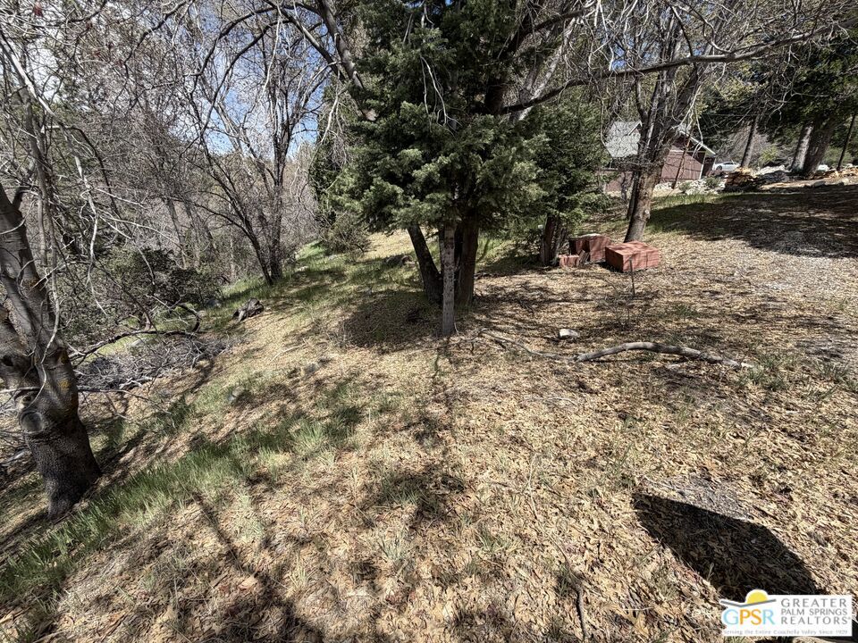6032 Tripp Lane Property Photo 7