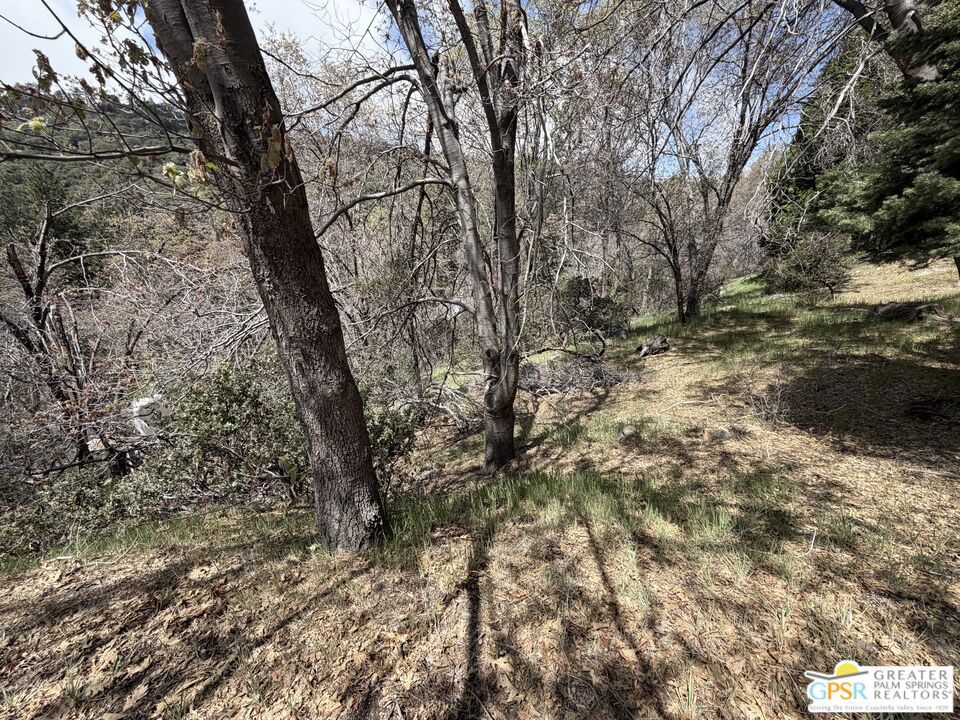 6032 Tripp Lane Property Photo 8