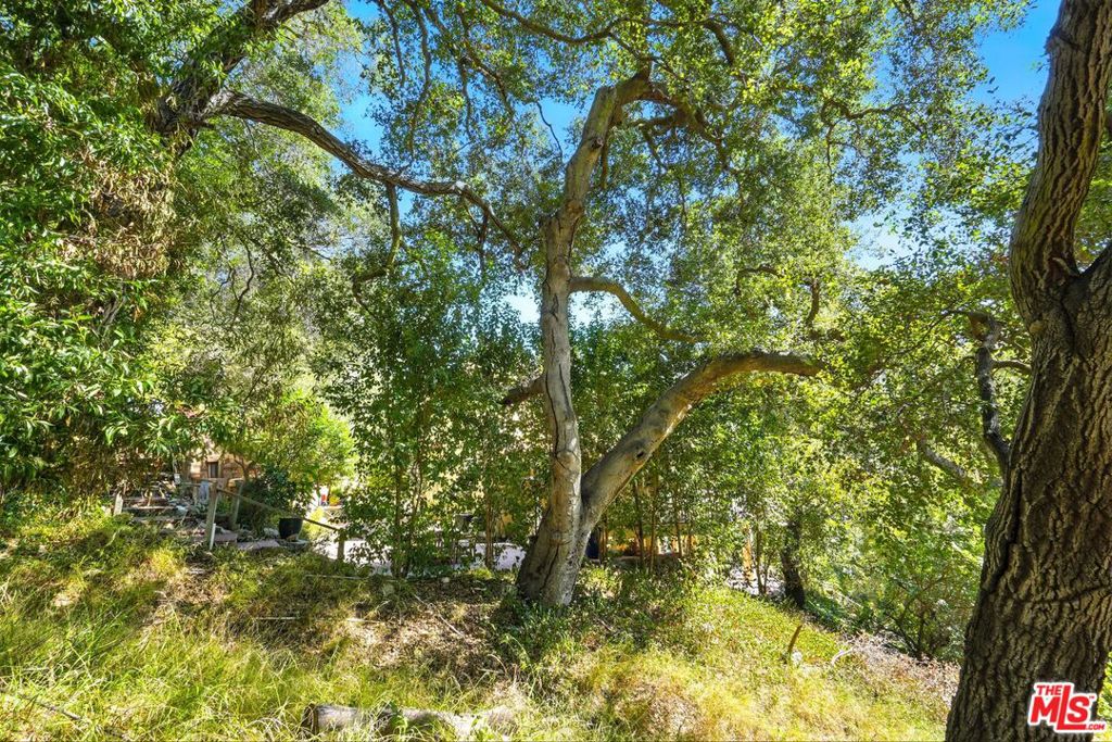 802 Old Topanga Canyon Rd Property Photo 6