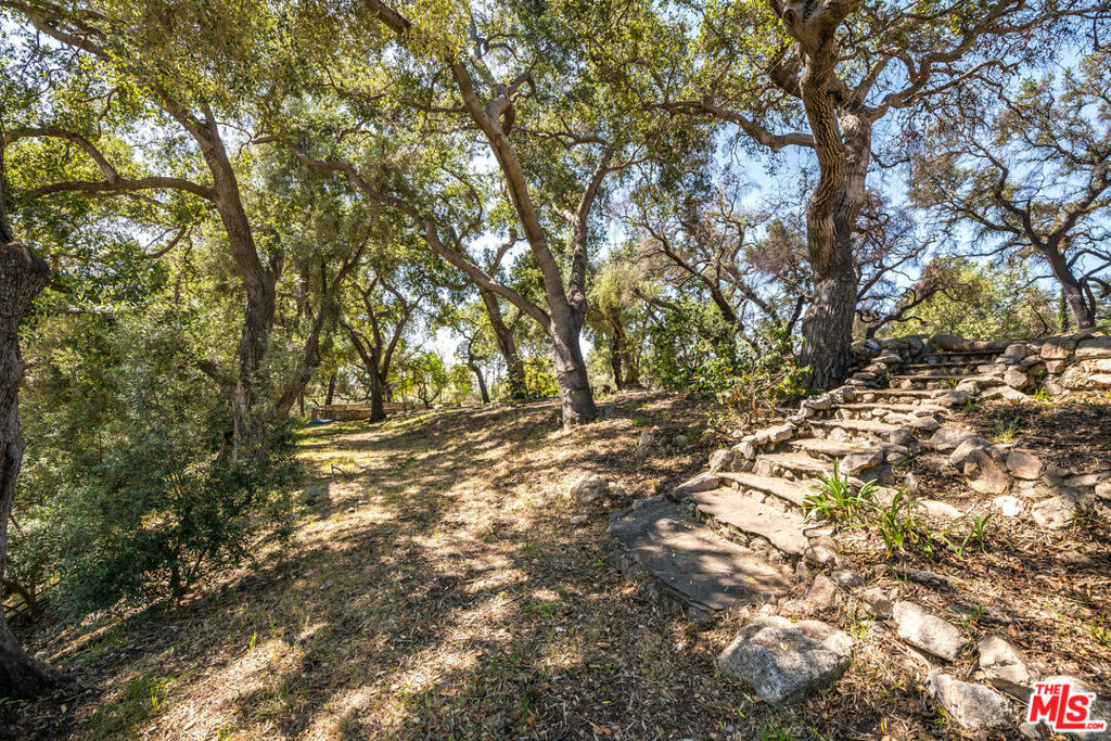 3172 Rubio Canyon Road Property Photo 12