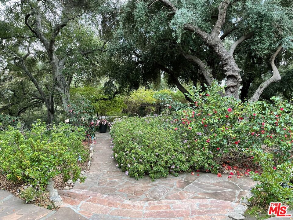 3172 Rubio Canyon Road Property Photo 24